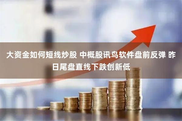 大资金如何短线炒股 中概股讯鸟软件盘前反弹 昨日尾盘直线下跌创新低